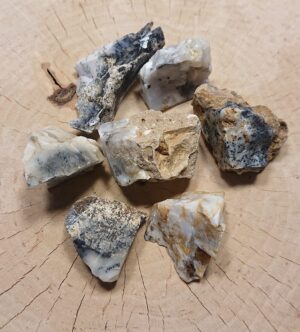opal turecki